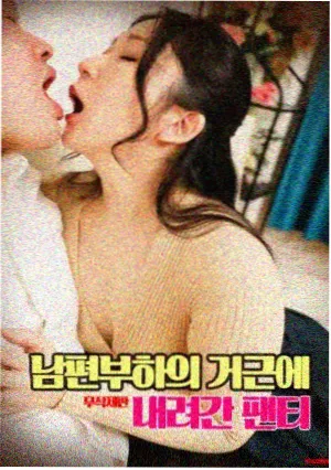 信条 星辰视频免费观看